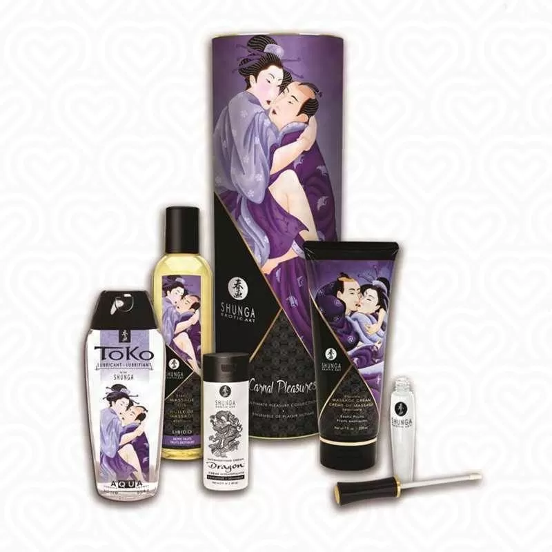 Набор подарочный ПЛОТСКИЕ УТЕХИ Shunga CARNAL PLEASURES